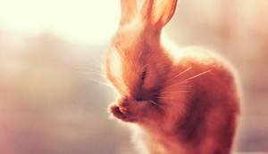 防腐玻璃钢风机厂家直销,防腐玻璃钢风机厂家直销有哪些